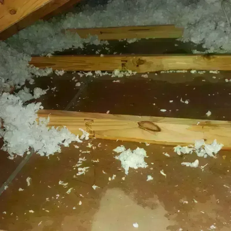 Attic Water Damage in Cleary, MS