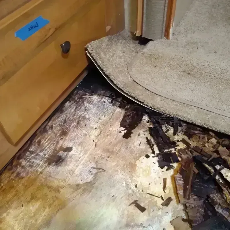 Wood Floor Water Damage in Cleary, MS